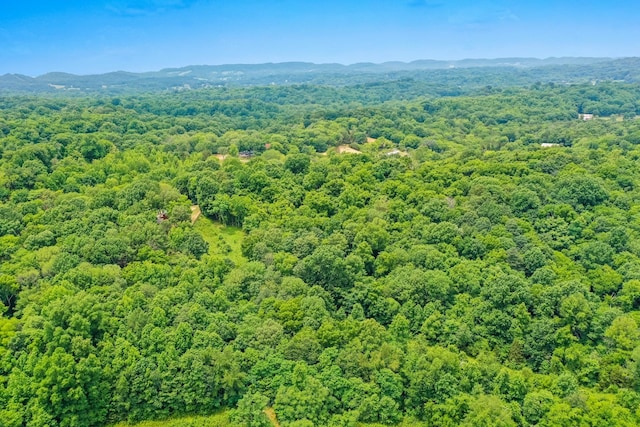 6492 Arno College Grove Rd, College Grove, TN 37046 - photo 14