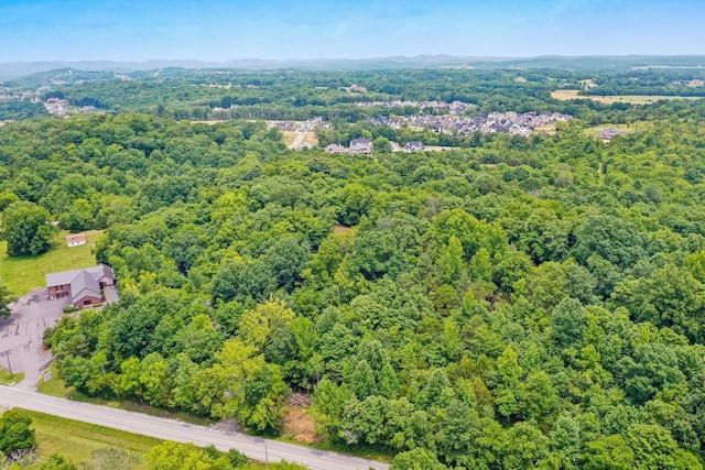 6492 Arno College Grove Rd, College Grove, TN 37046 - photo 18