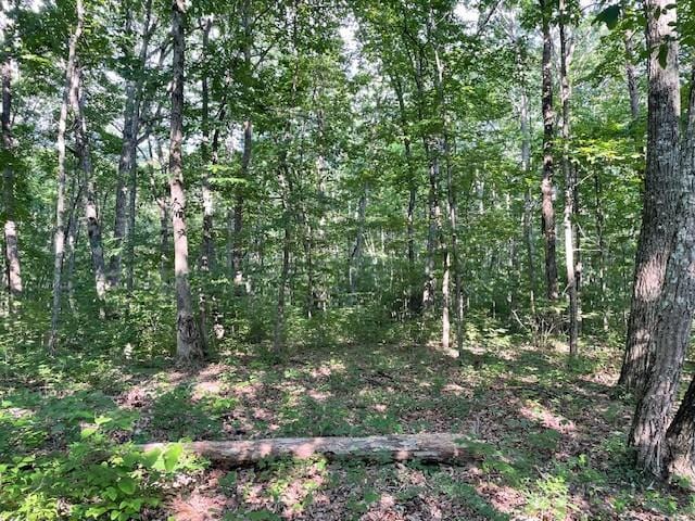 Listing photo 3 for 0 Eagle Nest Rd, Mcminnville TN 37110