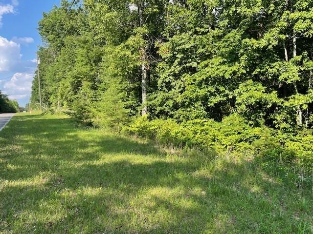 0 Eagle Nest Rd, Mcminnville TN, 37110 land for sale