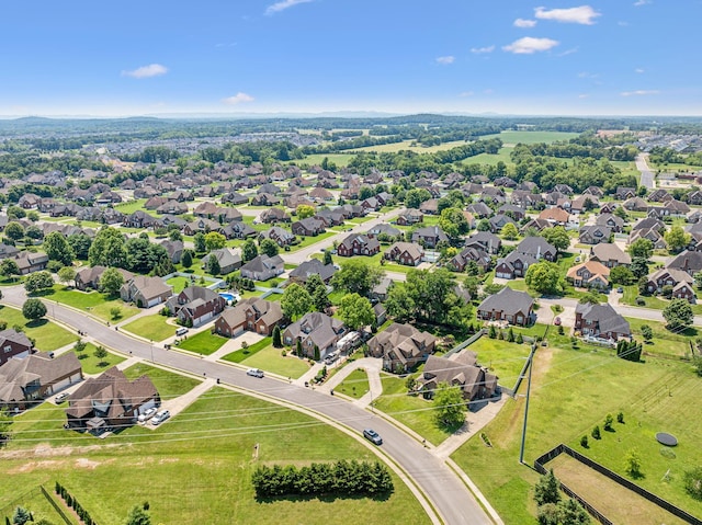 bird's eye view