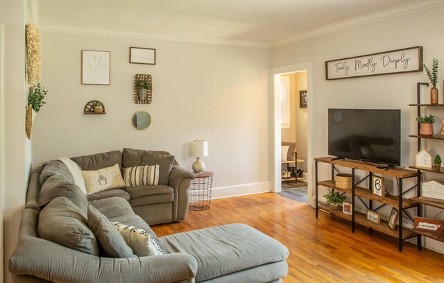 living room with wood-type flooring and crown molding