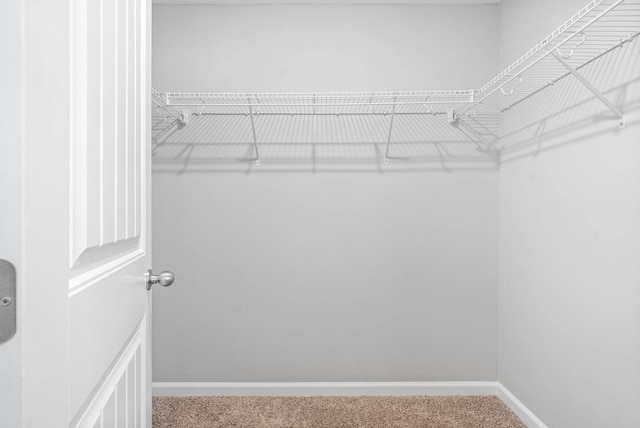 walk in closet with carpet