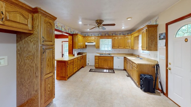 kitchen featuring white dishwasher, ceiling fan, and sink