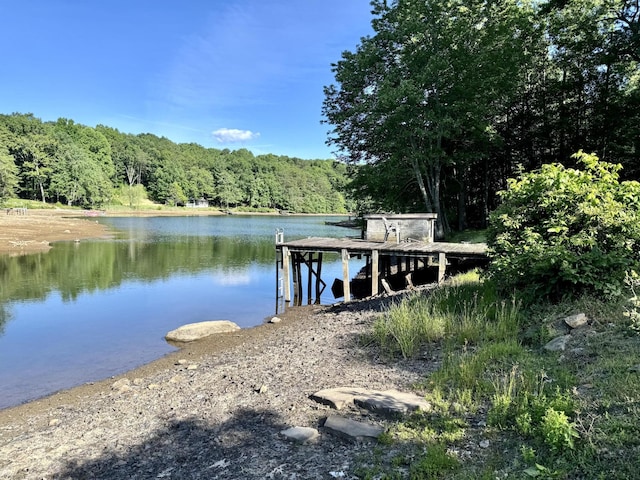 view of dock with a water view