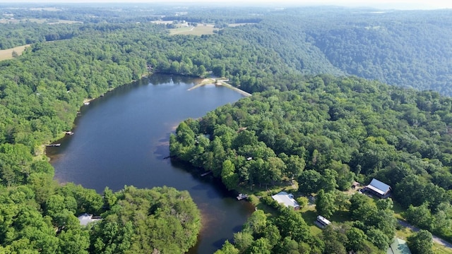 115 Lake Shore Dr, Pikeville, TN 37367 - aerial view of property's location with a forest and a large body of water