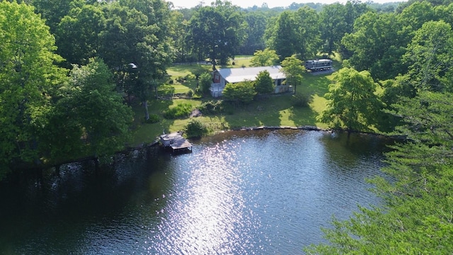 115 Lake Shore Dr, Pikeville, TN 37367 - aerial view of property and surrounding area with a large body of water