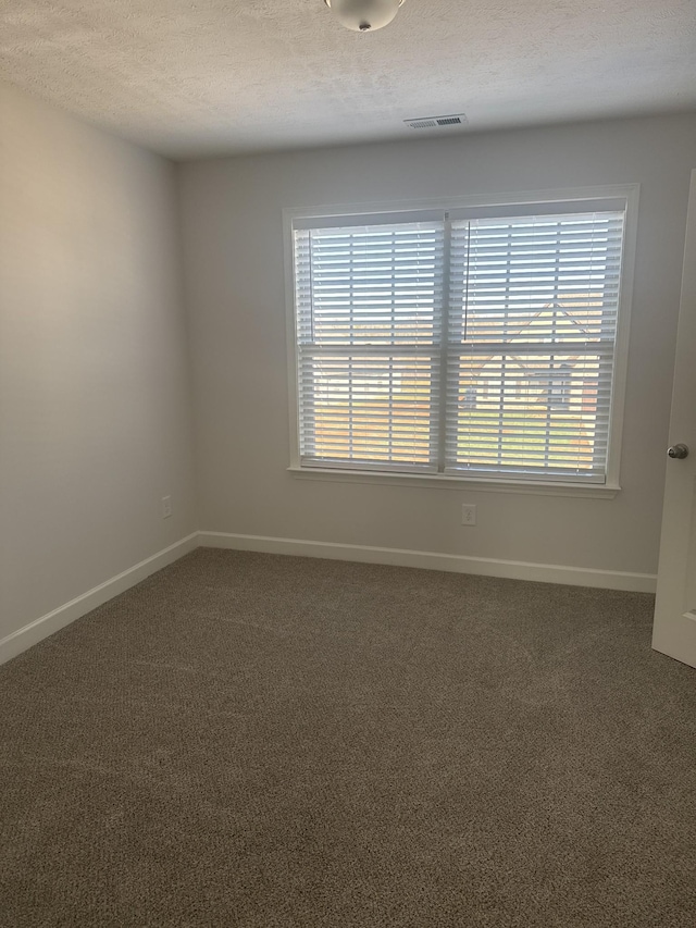 spare room with a textured ceiling, carpet flooring, and plenty of natural light