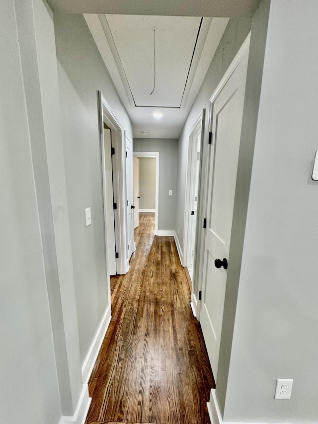 corridor featuring dark wood-type flooring