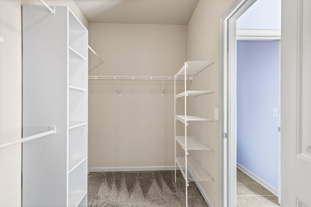 spacious closet with light carpet