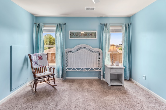 bedroom with carpet