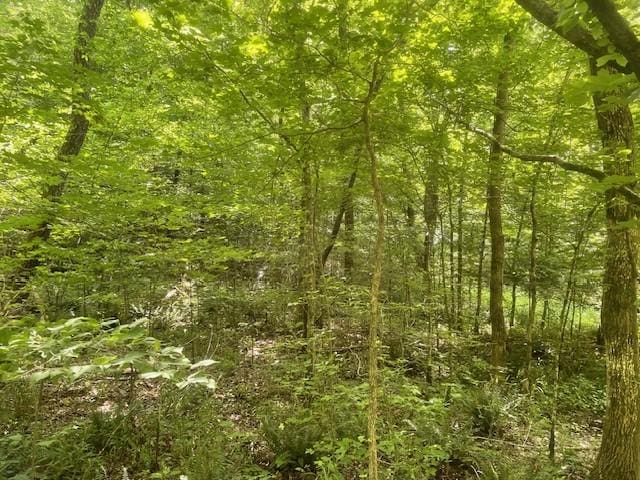 Listing photo 3 for 0 Mccollum Rd, Hurricane Mills TN 37078