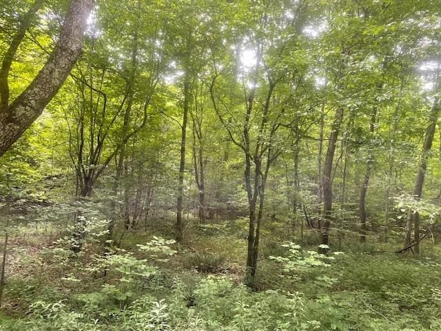 0 Mccollum Rd, Hurricane Mills TN, 37078 land for sale