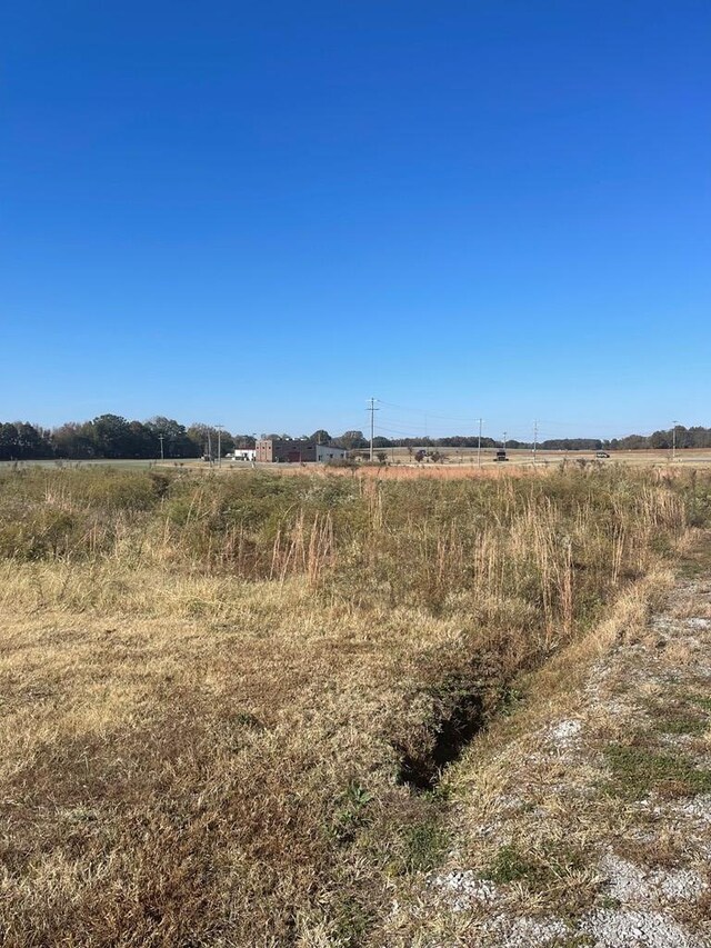 0 Stonehaven Dr, Bells, TN 38006 - photo 4