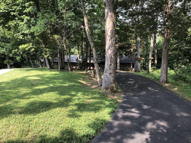 view of front facade featuring a front lawn