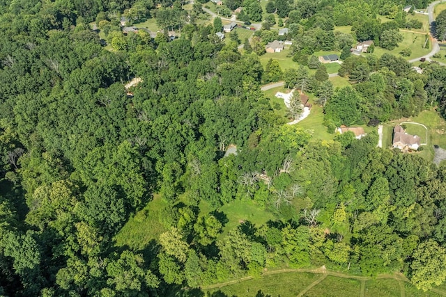 bird's eye view