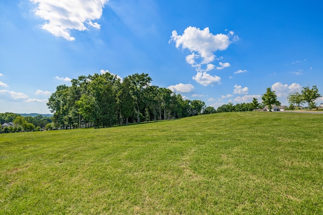 7266 Harlow Dr, College Grove TN, 37046 land for sale