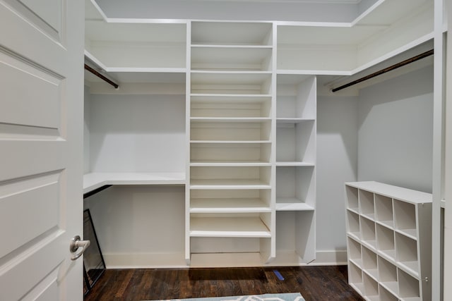 spacious closet with dark wood-type flooring