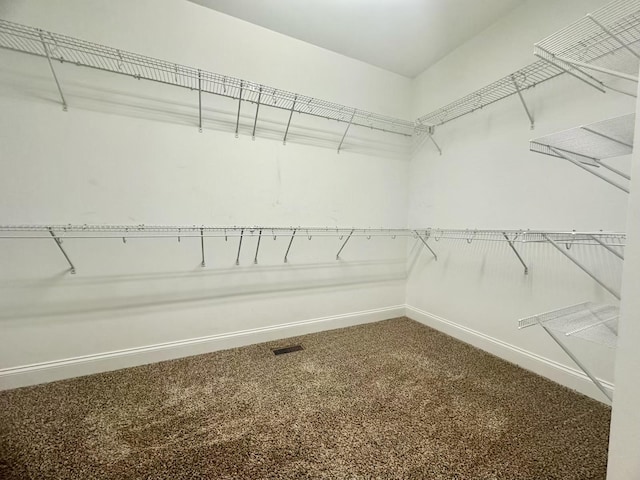 spacious closet featuring carpet