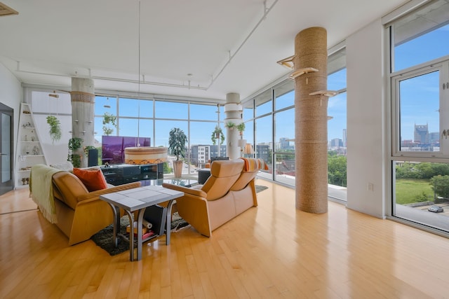 living room with light hardwood / wood-style flooring, a healthy amount of sunlight, and expansive windows