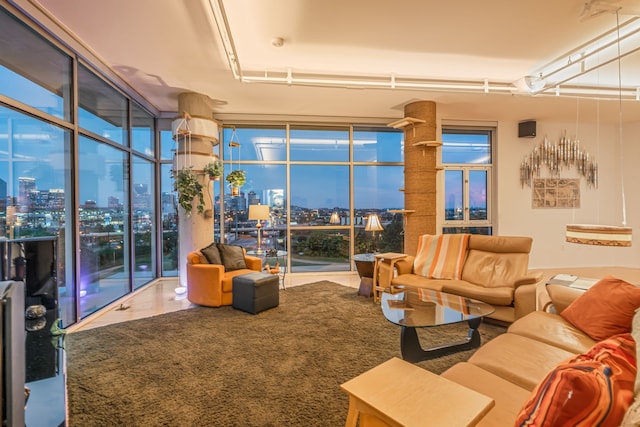 living room featuring expansive windows