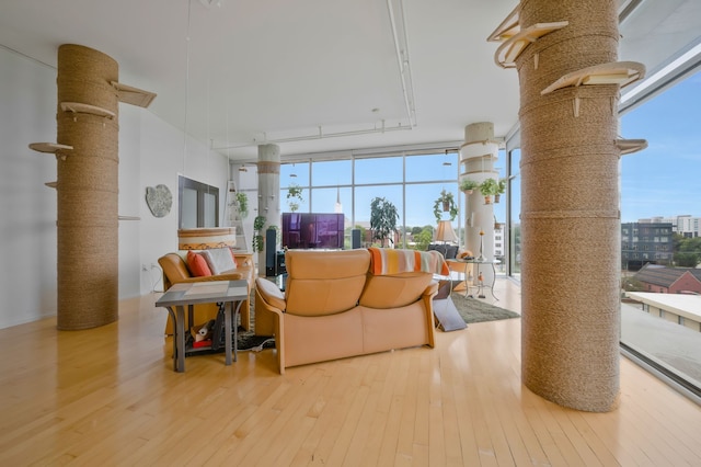 living room with a wall of windows, light hardwood / wood-style floors, and ornate columns