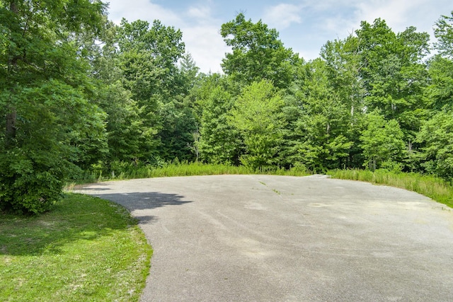 Listing photo 2 for 58 Mountain Preserve Pt, Crab Orchard TN 37723