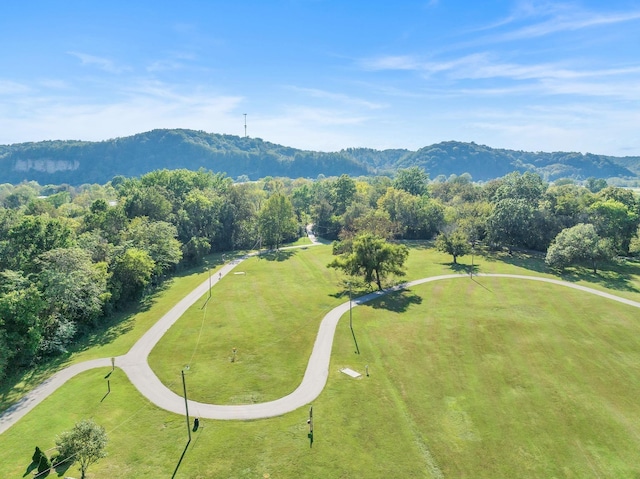 birds eye view of property featuring a mountain view