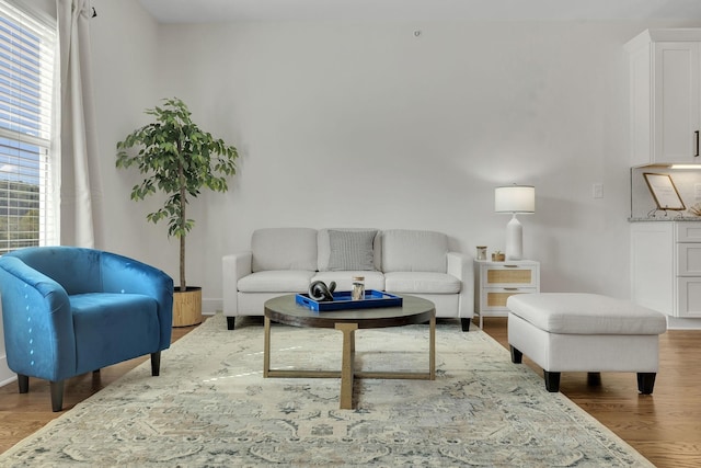 living room featuring wood-type flooring