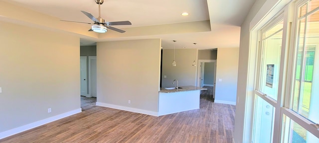 unfurnished room featuring ceiling fan, sink, a tray ceiling, and hardwood / wood-style floors