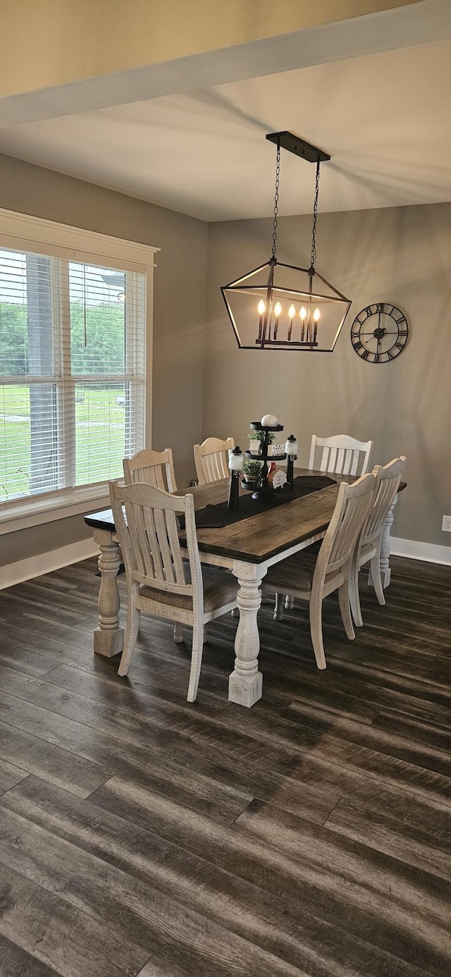 dining area with dark hardwood / wood-style floors and a chandelier