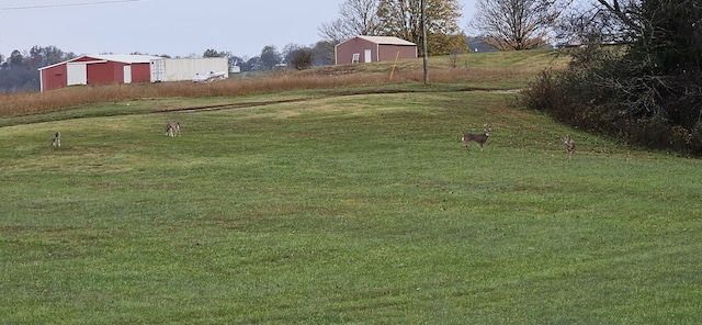 view of yard featuring a rural view