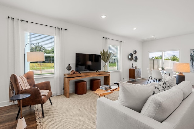 living room with wood-type flooring