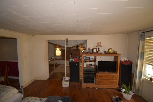 living room featuring dark wood-type flooring