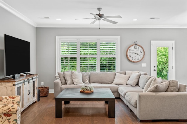 living room featuring dark hardwood / wood-style floors, ceiling fan, and crown molding