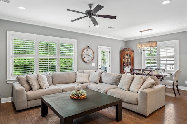 living room featuring a wealth of natural light, dark hardwood / wood-style flooring, crown molding, and ceiling fan with notable chandelier