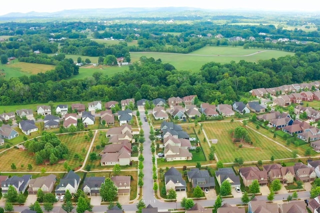 aerial view