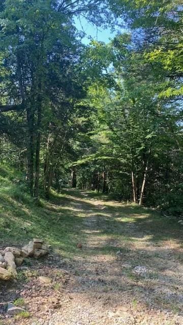 119 Saint Marys Rd, Chestnut Mound, TN 38552