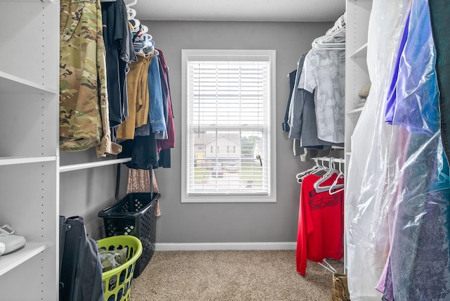 spacious closet with carpet flooring