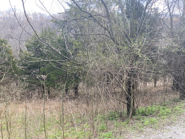 0 Rutherford Ln, Smithville TN, 37166 land for sale