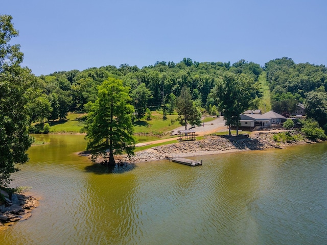 property view of water featuring a boat dock