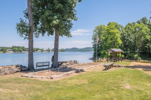 351 New Era Landing Rd, Linden, TN 37096 - water view