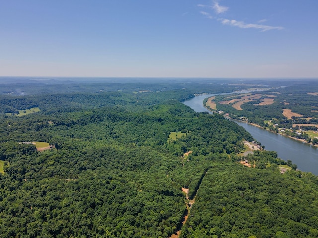 351 New Era Landing Rd, Linden, TN 37096 - drone / aerial view of a forest