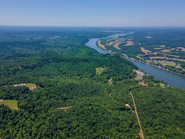 351 New Era Landing Rd, Linden, TN 37096 - drone / aerial view of a heavily wooded area