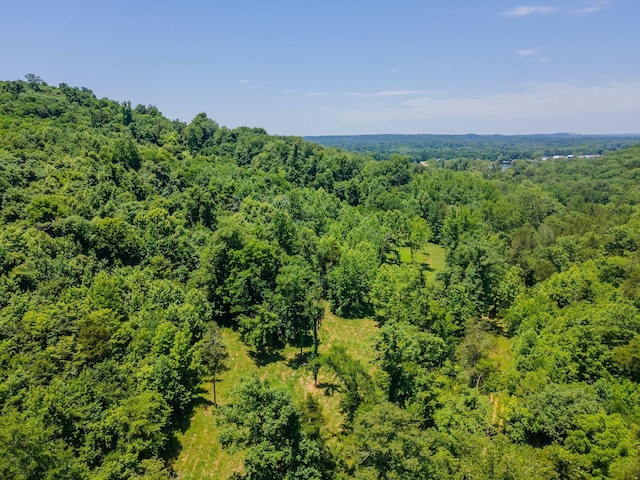 351 New Era Landing Rd, Linden, TN 37096 - aerial view of a forest