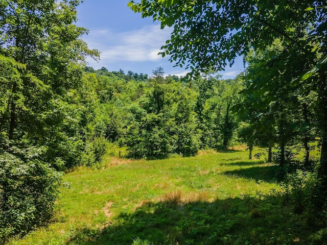 351 New Era Landing Rd, Linden, TN 37096 - view of woods