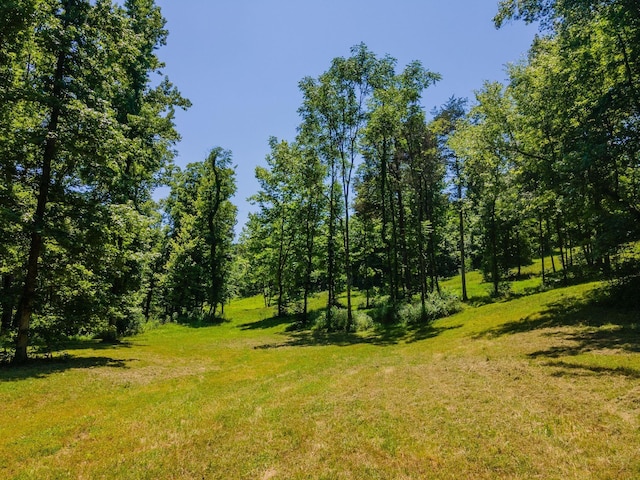 351 New Era Landing Rd, Linden, TN 37096 - view of undeveloped land
