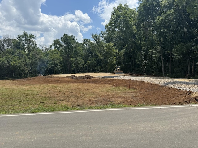 0 S Rucker Rd, Christiana TN, 37037 land for sale