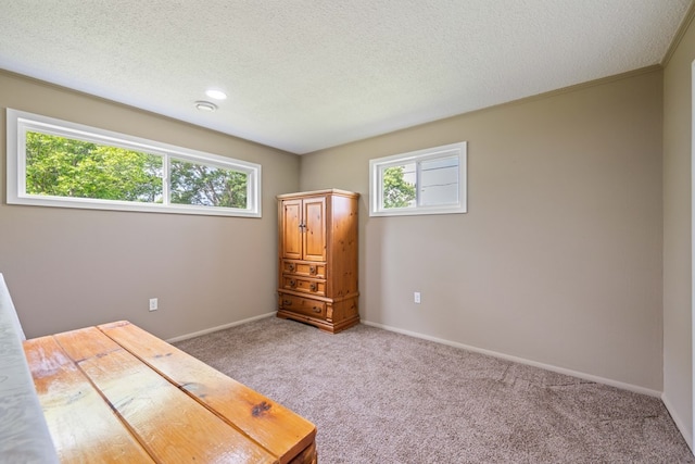 unfurnished bedroom with a textured ceiling and light colored carpet