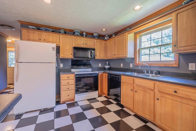 kitchen featuring black appliances and sink